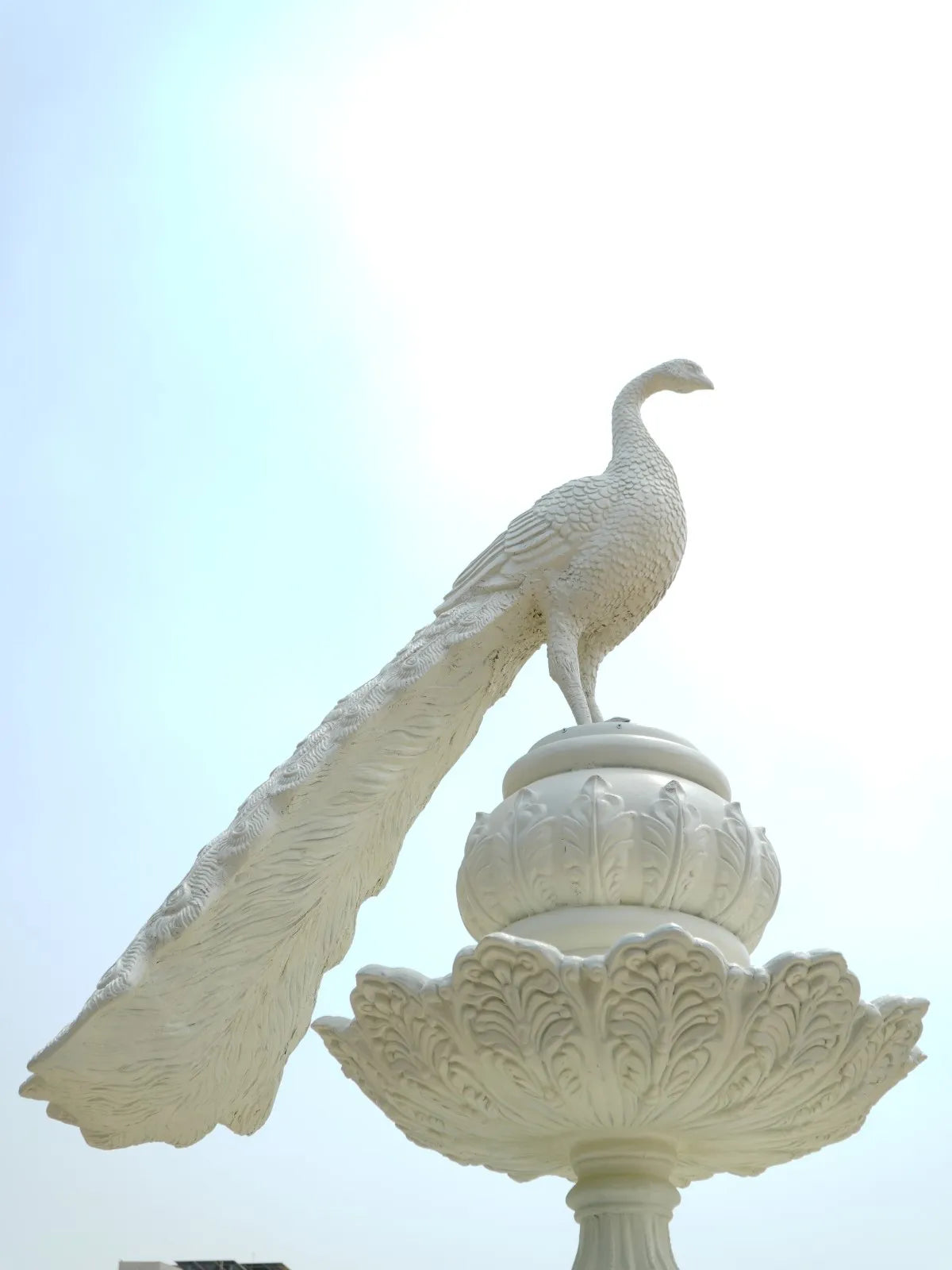 Peacock Sculpture